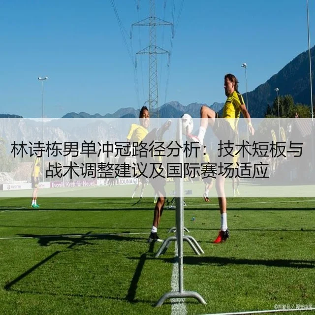 林诗栋男单冲冠路径分析：技术短板与战术调整建议及国际赛场适应